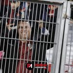 ¡Buscate en la victoria de River vs. Tigre en el Monumental!